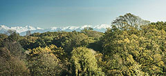 Christchurch
